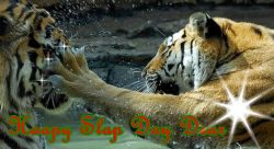 Slap Day 2024 Date Images Celebrations Wishes Wallpapers and SMS Messages