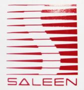 Saleen All Models 2024 Price Specifications