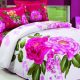 Latest Bed Sheets New Designs with Cheap Prices In Pakistan