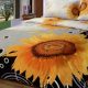 Latest Bed Sheets New Designs with Cheap Prices In Pakistan