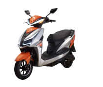 Bingo Wolf Price in Pakistan 2024, Engine, Battery Type And Specification